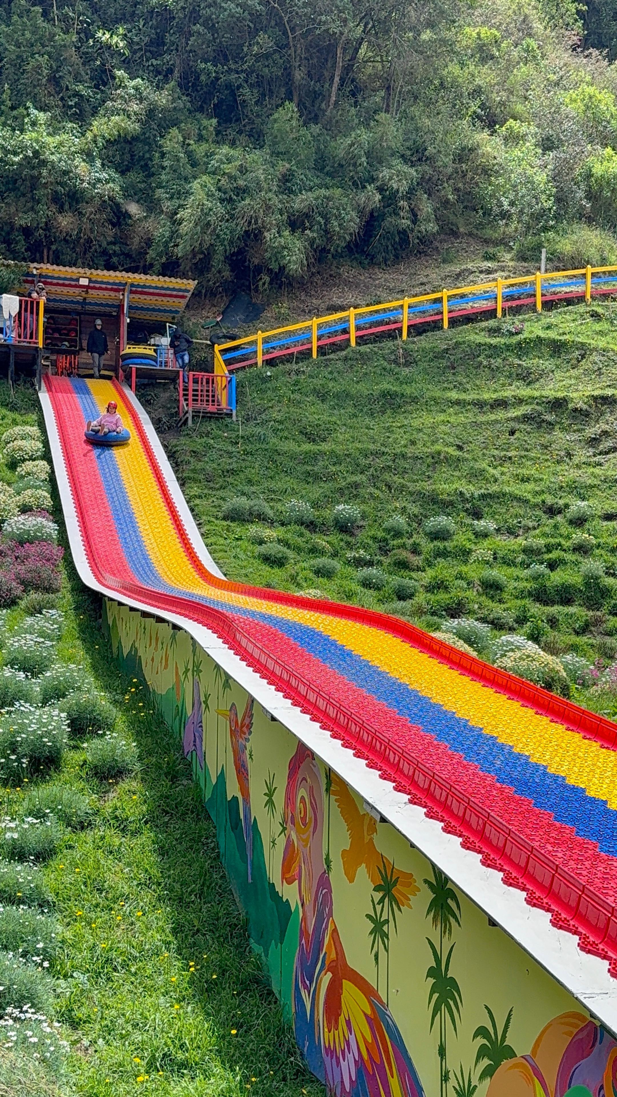 Grupo de turistas con Travesías y Café VIP en el Valle de Cocora