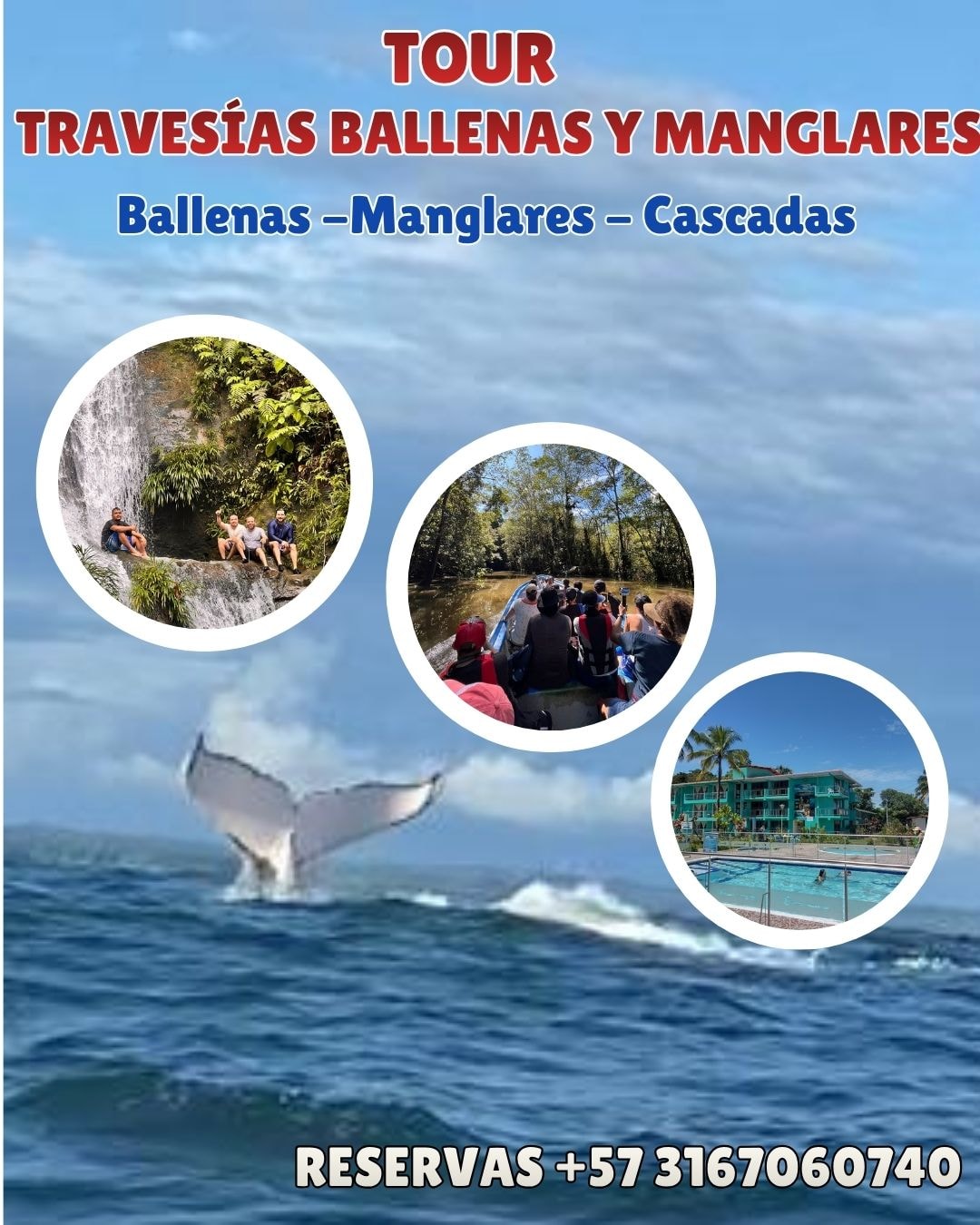 Ballenas y Manglares