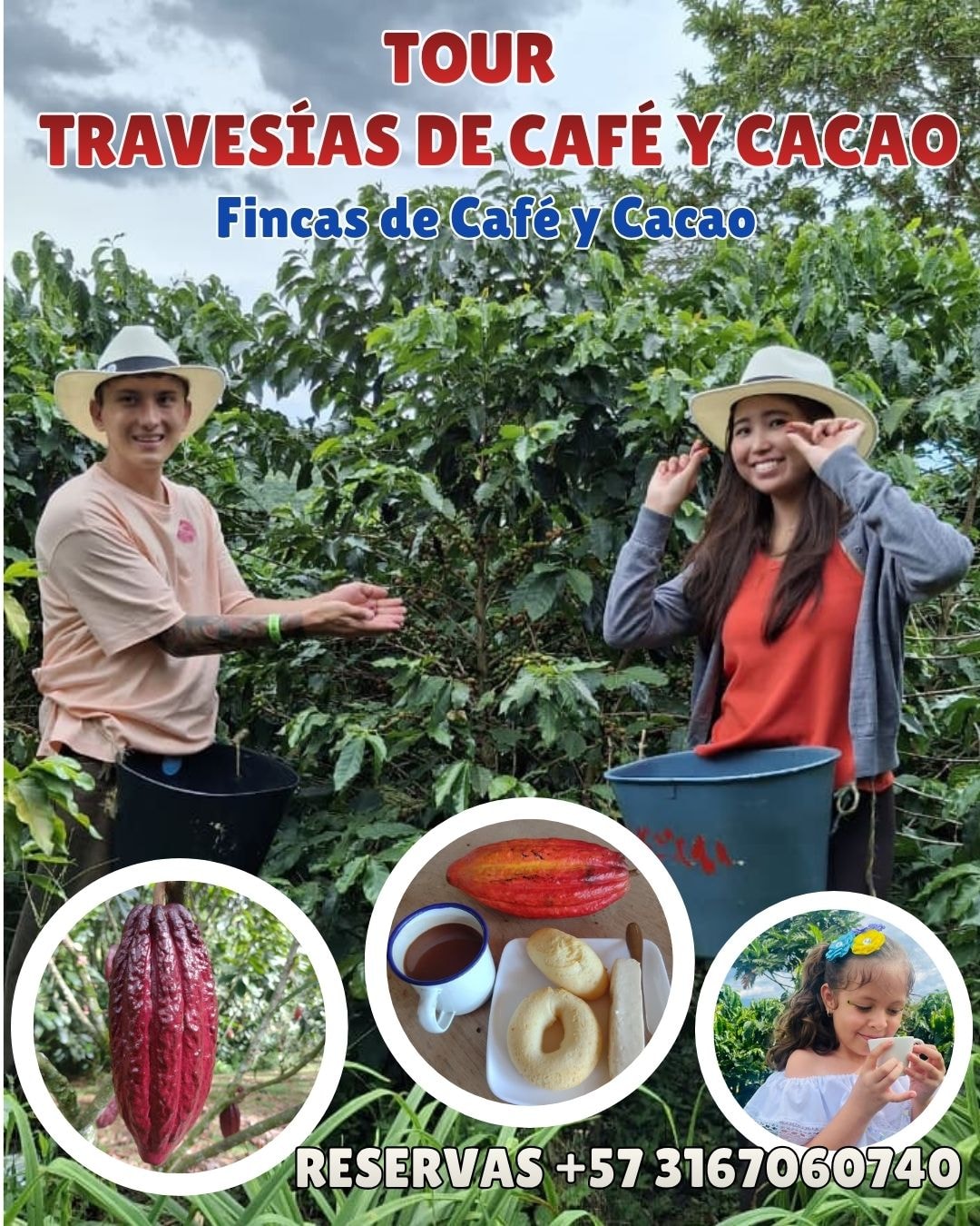 Café y Cacao