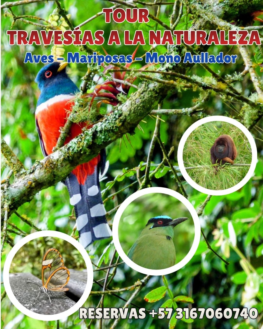 Travesías Naturaleza